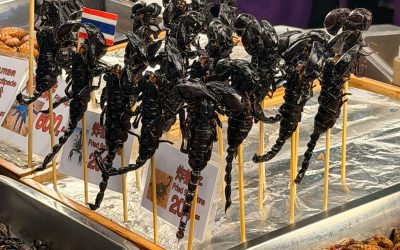 Nikki F On Location: Bangkok, the Perfect Second Act