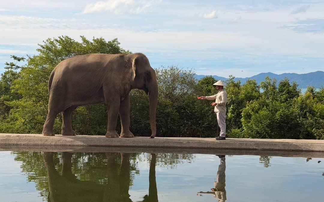 Nikki F On Location: An Incredible Week in Koh Samui, Thailand
